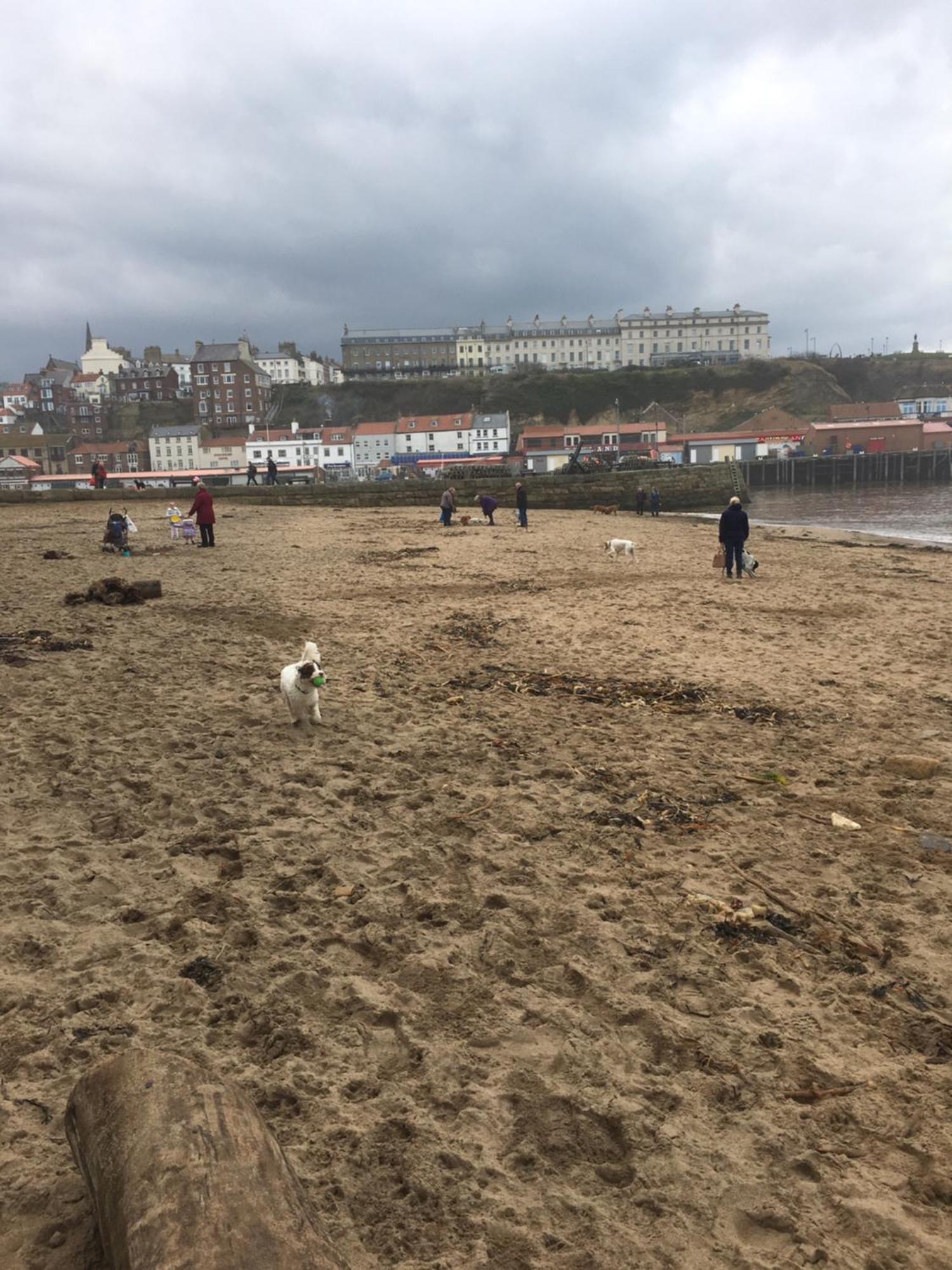 Apartament Harbour Penthouse Whitby Zewnętrze zdjęcie